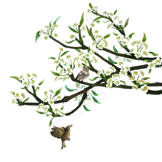 树枝小花朵绿叶png素材,免抠元素