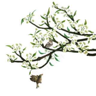 树枝小花朵绿叶png素材,免抠元素