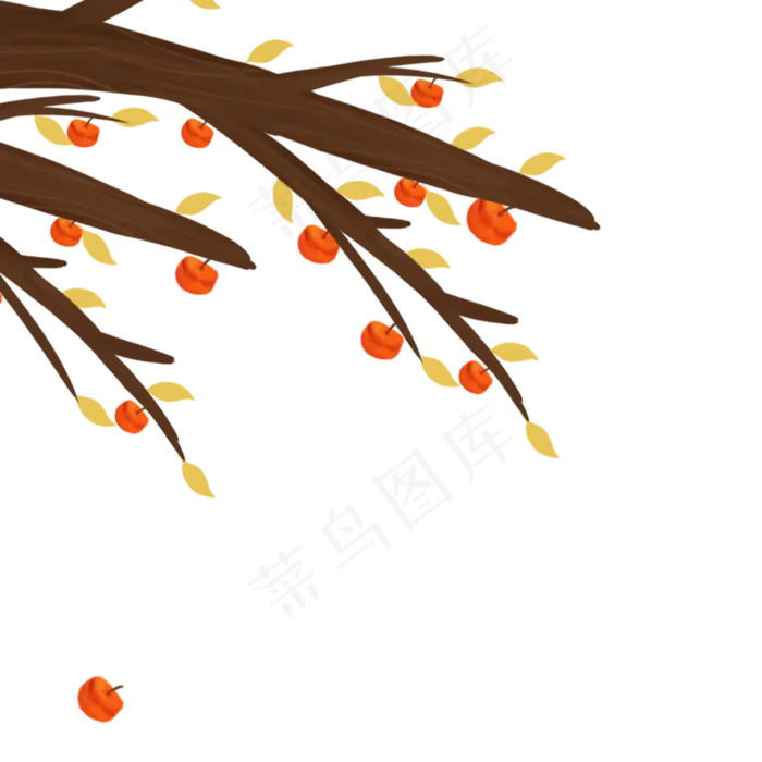 立秋黄橙橙的柿子(1500X1500(DPI:300))psd模版下载