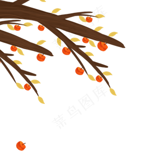 立秋黄橙橙的柿子