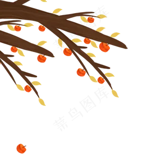 立秋黄橙橙的柿子