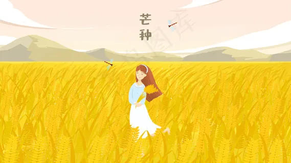 金色麦田芒种节气