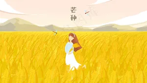 金色麦田芒种节气
