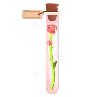 一束粉红色的蔷薇