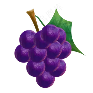 夏日暑假水果葡萄