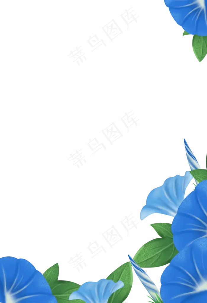 手绘牵牛花下载