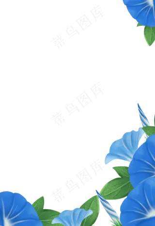 手绘牵牛花下载