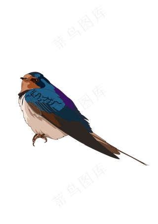 春分燕子免扣元素,免抠元素