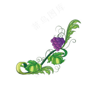 血橙红心橙子红心柚子水果切块