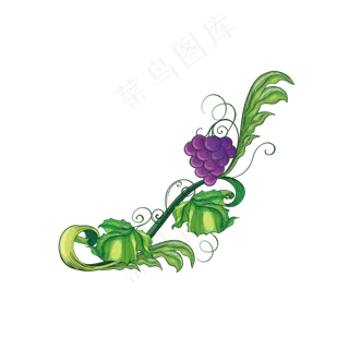 血橙红心橙子红心柚子水果切块