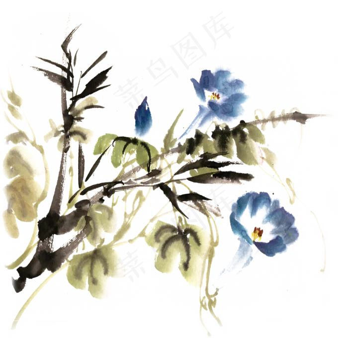 水墨画蓝色牵牛花(4724X4724(DPI:300))psd模版下载