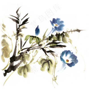 水墨画蓝色牵牛花