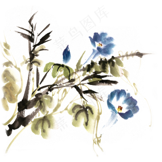 水墨画蓝色牵牛花