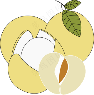 手绘真实感大柚子