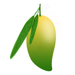 绿色新鲜芒果