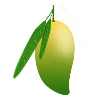 绿色新鲜芒果