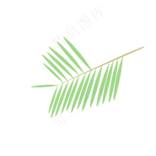 手绘绿色植物椰树叶子