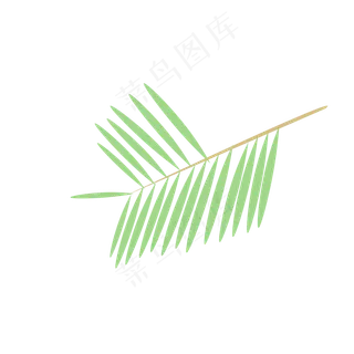 手绘绿色植物椰树叶子 手绘绿色植物椰树叶子