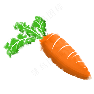 手绘新鲜蔬菜胡萝卜大叶子
