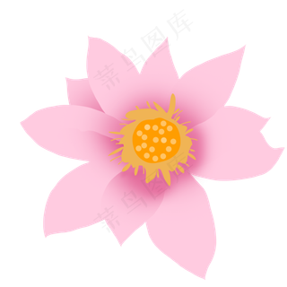 花朵荷花卡通植物