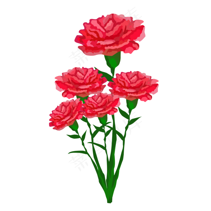 红色康乃馨免抠素材(2000*2000px 300 dpi )ai矢量模版下载