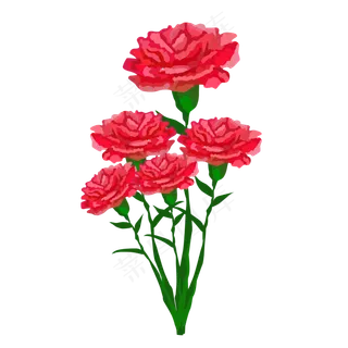 红色康乃馨免抠素材