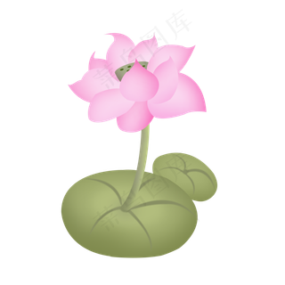 素雅荷花淡雅手绘莲花花卉植物插