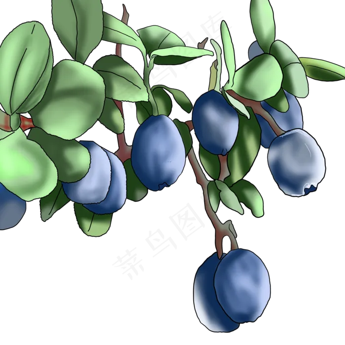 水果蓝莓叶子蓝莓蓝莓冰酒(2000X2000(DPI:72))psd模版下载