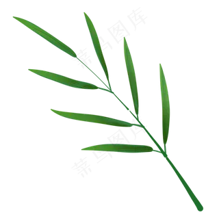 绿色叶子端午粽情