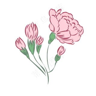 手绘风格浅粉母亲节康乃馨免抠素