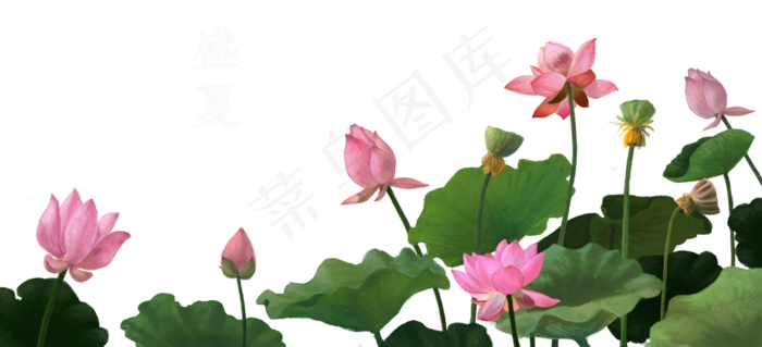 荷花荷叶(2880X1314(DPI:300))psd模版下载
