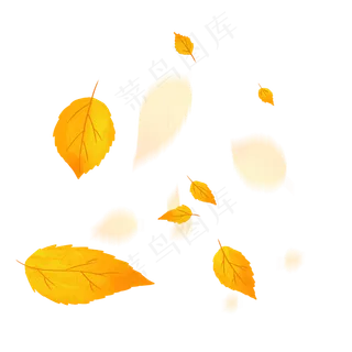 黄色飘落的叶子