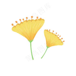 黄色的花朵