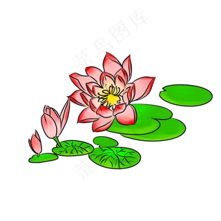 手绘荷花荷叶