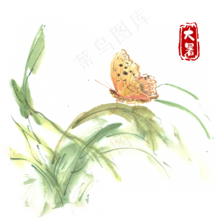 大暑栖息的蝴蝶