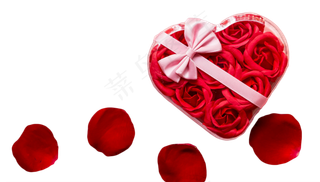 爱心玫瑰花瓣丝带