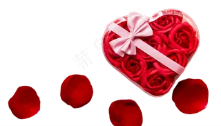 爱心玫瑰花瓣丝带
