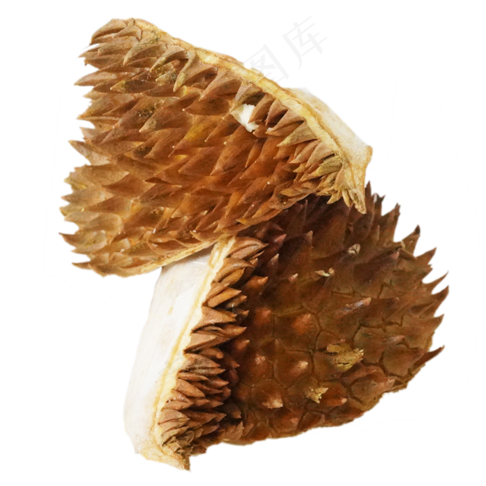 泰国榴莲榴莲皮(2000*2000px 300 dpi )