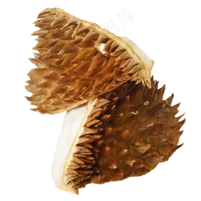 泰国榴莲榴莲皮(2000*2000px 300 dpi )