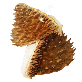 泰国榴莲榴莲皮