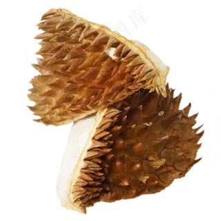 泰国榴莲榴莲皮