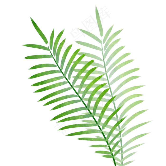 绿色植物叶子(2000X2000(DPI:299))psd模版下载