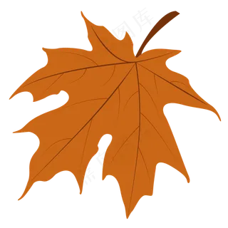 手绘红色的枫叶免抠图