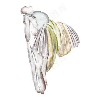 手绘水彩在树上捉虫的啄木鸟