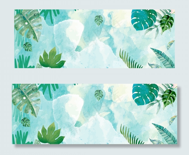 蓝色夏季叶子环境背景