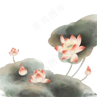 中国风水墨粉色荷花