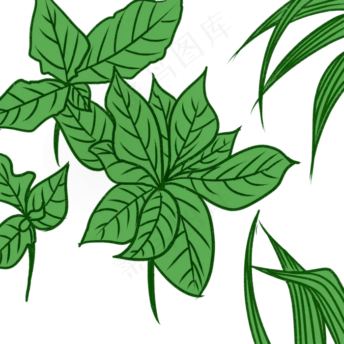 绿色植物叶子系列4(2000X2000(DPI:299))psd模版下载