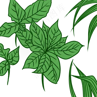 绿色植物叶子系列4