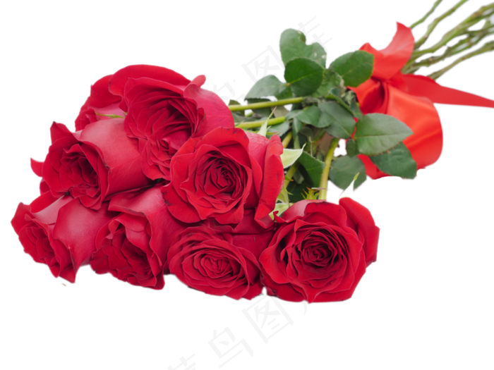 情人节浪漫红玫瑰