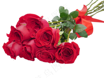 情人节浪漫红玫瑰
